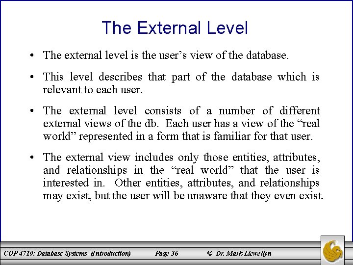 The External Level • The external level is the user’s view of the database.
