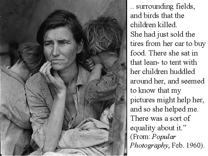 . . surrounding fields, and birds that the children killed. She had just sold