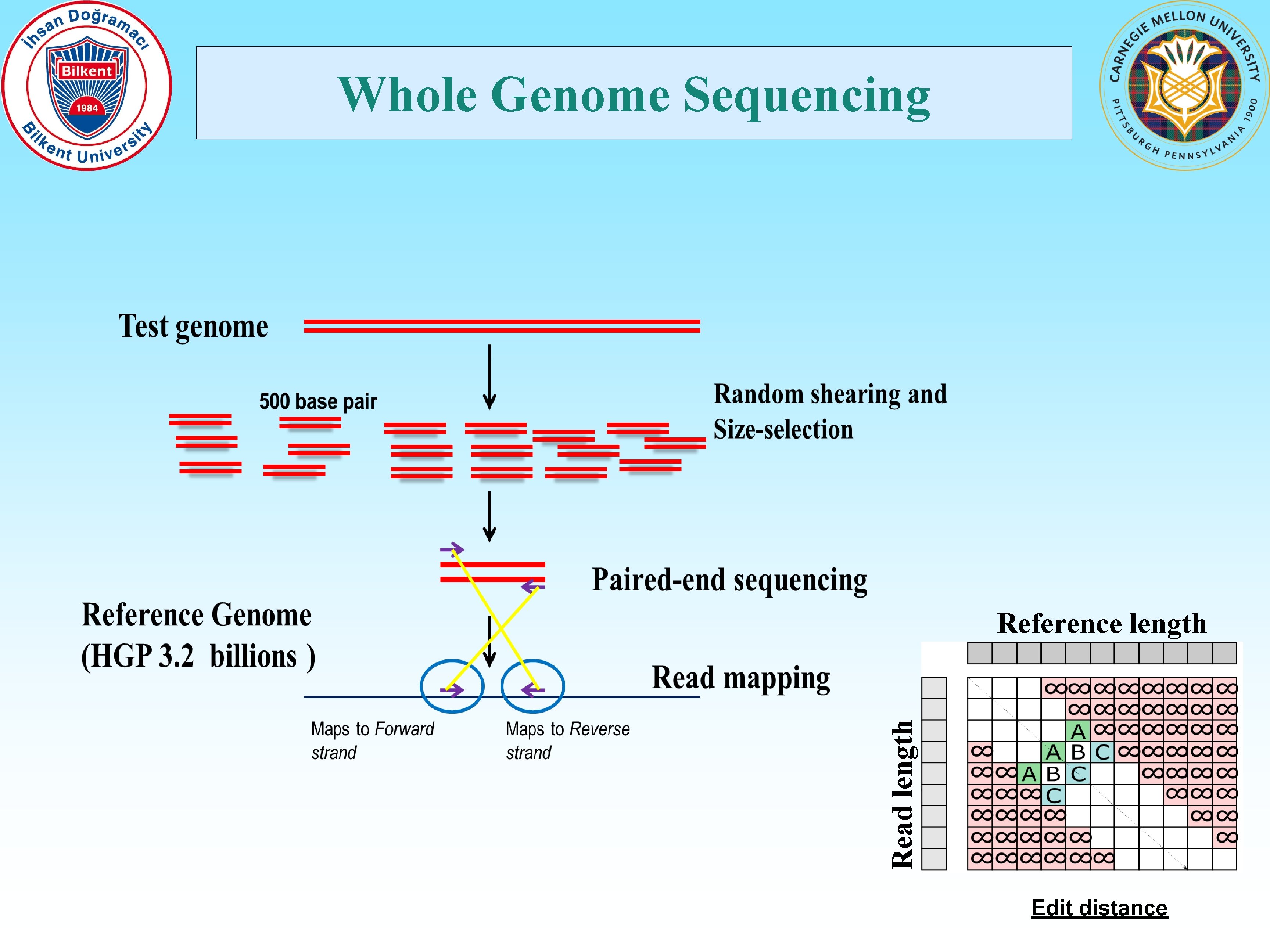 Whole Genome Sequencing Read length Reference length Edit distance 