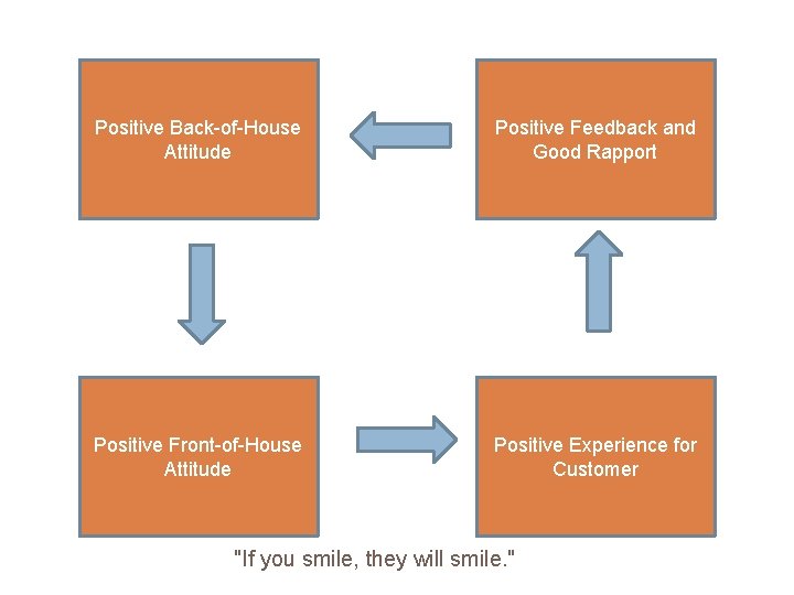 Positive Back-of-House Attitude Positive Feedback and Good Rapport Positive Front-of-House Attitude Positive Experience for