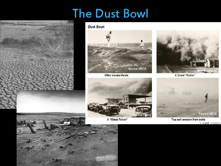 The Dust Bowl The Dust Bowl