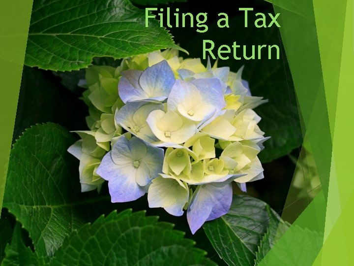 Filing a Tax Return 