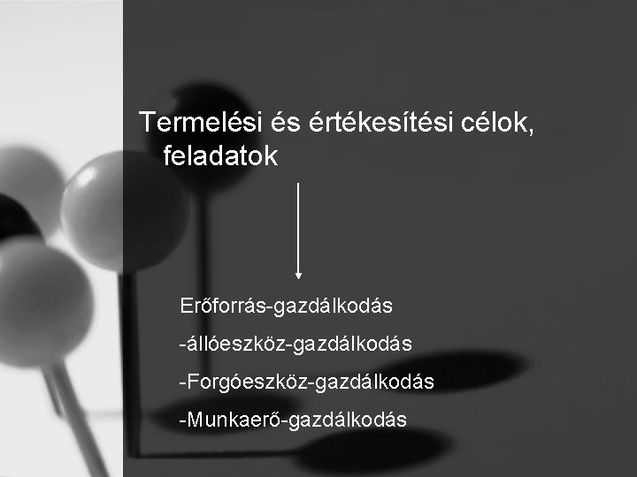 Termelési és értékesítési célok, feladatok Erőforrás-gazdálkodás -állóeszköz-gazdálkodás -Forgóeszköz-gazdálkodás -Munkaerő-gazdálkodás 