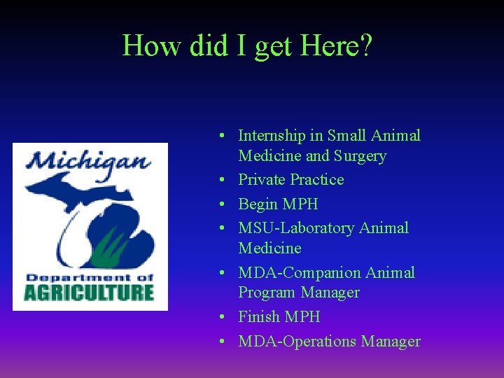 How did I get Here? • Internship in Small Animal Medicine and Surgery •