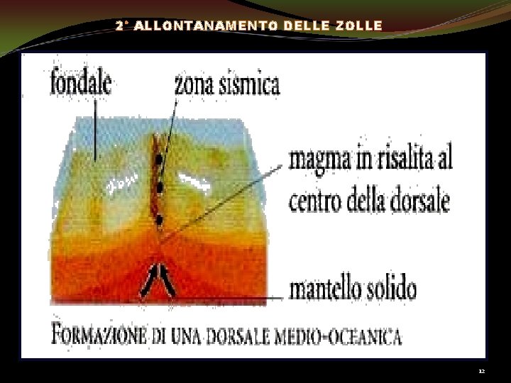 2° ALLONTANAMENTO DELLE ZOLLE 12 