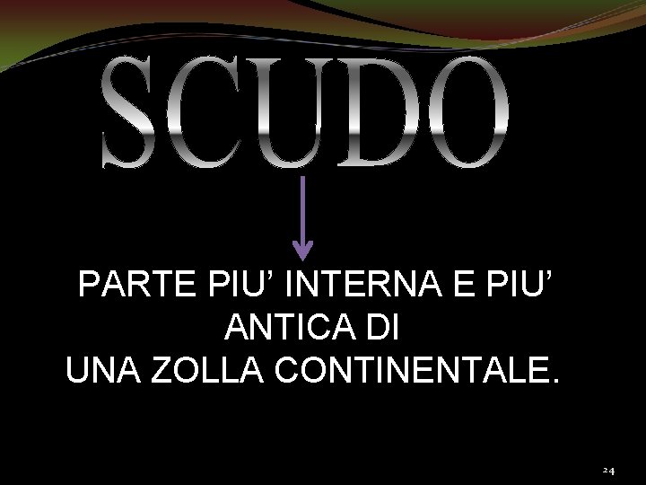 PARTE PIU’ INTERNA E PIU’ ANTICA DI UNA ZOLLA CONTINENTALE. 24 