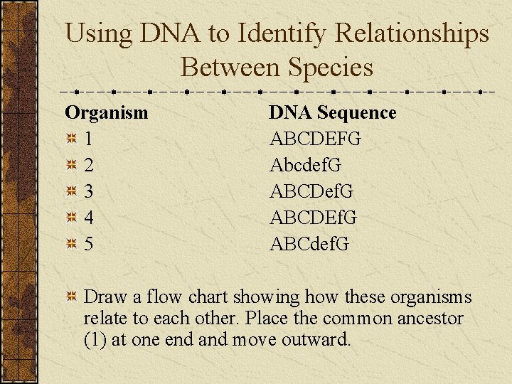 Using DNA to Identify Relationships Between Species Organism 1 2 3 4 5 DNA