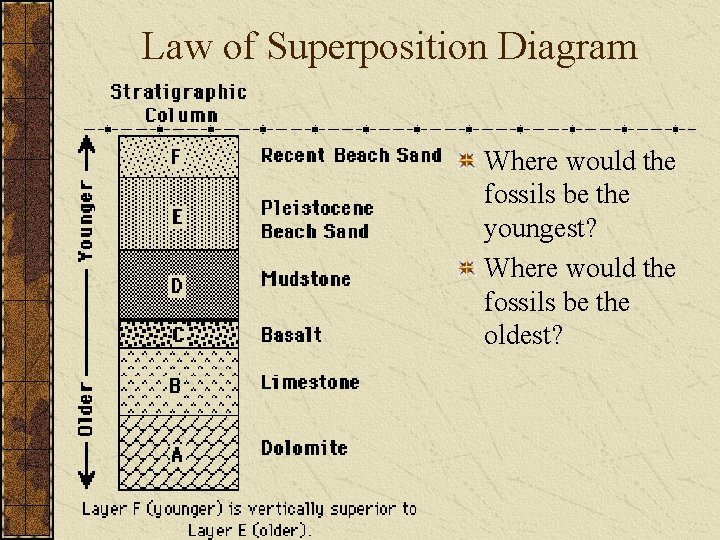 Law of Superposition Diagram Where would the fossils be the youngest? Where would the