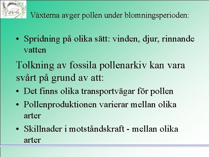 Växterna avger pollen under blomningsperioden: • Spridning på olika sätt: vinden, djur, rinnande vatten