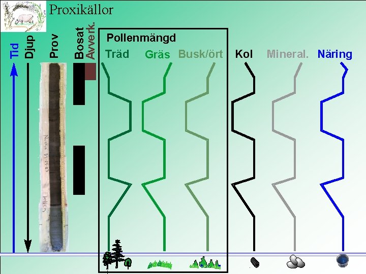 Bosat Avverk. Prov Tid Djup Proxikällor Pollenmängd Träd Gräs Busk/ört Kol Mineral. Näring 