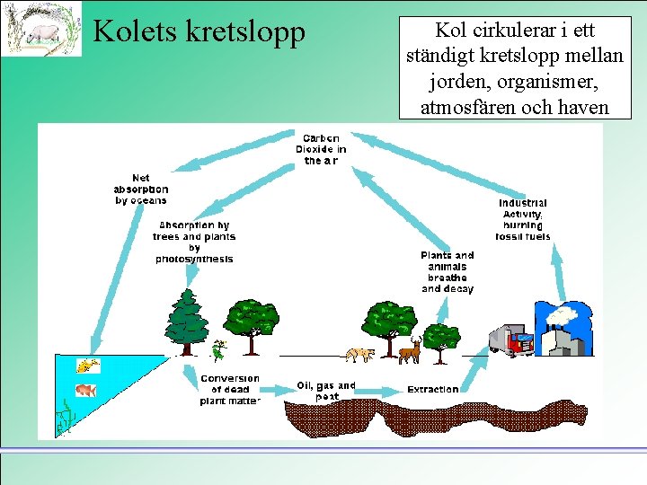 Kolets kretslopp Kol cirkulerar i ett ständigt kretslopp mellan jorden, organismer, atmosfären och haven