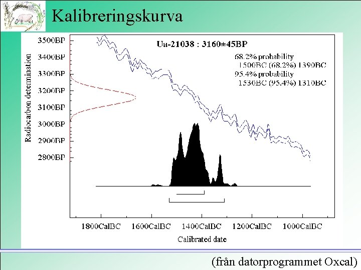 Kalibreringskurva (från datorprogrammet Oxcal) 