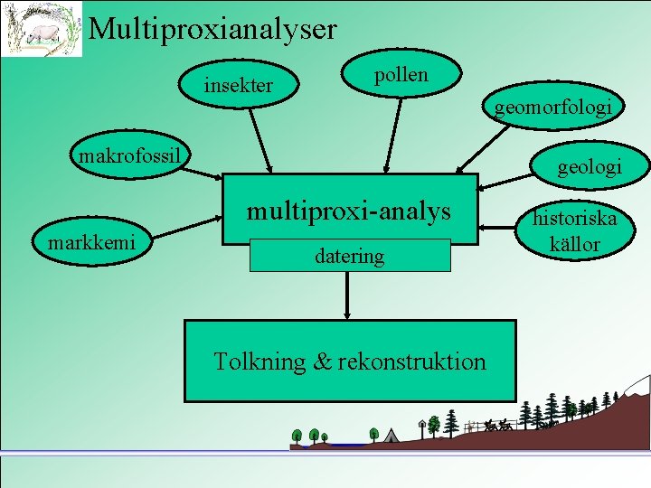 Multiproxianalyser insekter pollen geomorfologi makrofossil geologi multiproxi-analys markkemi datering Tolkning & rekonstruktion historiska källor