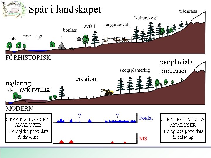 Spår i landskapet periglaciala processer reglering avtorvning STRATEGRAFISKA ANALYSER Biologiska proxidata & datering erosion