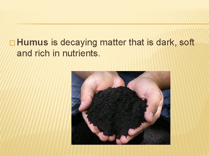 � Humus is decaying matter that is dark, soft and rich in nutrients. 