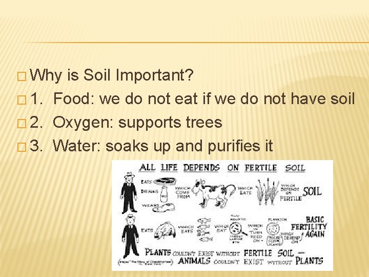 � Why is Soil Important? � 1. Food: we do not eat if we