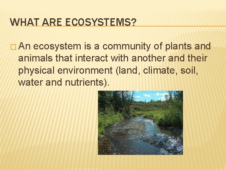 WHAT ARE ECOSYSTEMS? � An ecosystem is a community of plants and animals that