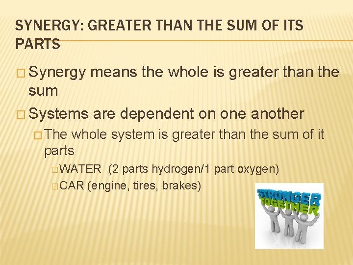 SYNERGY: GREATER THAN THE SUM OF ITS PARTS � Synergy means the whole is