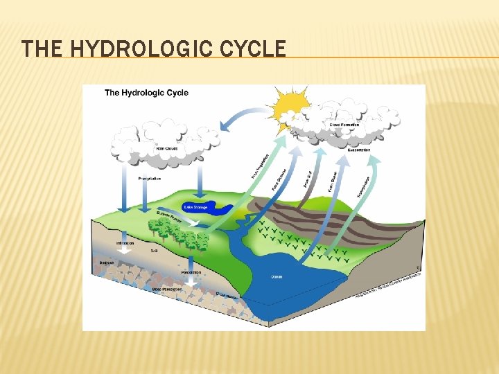THE HYDROLOGIC CYCLE 