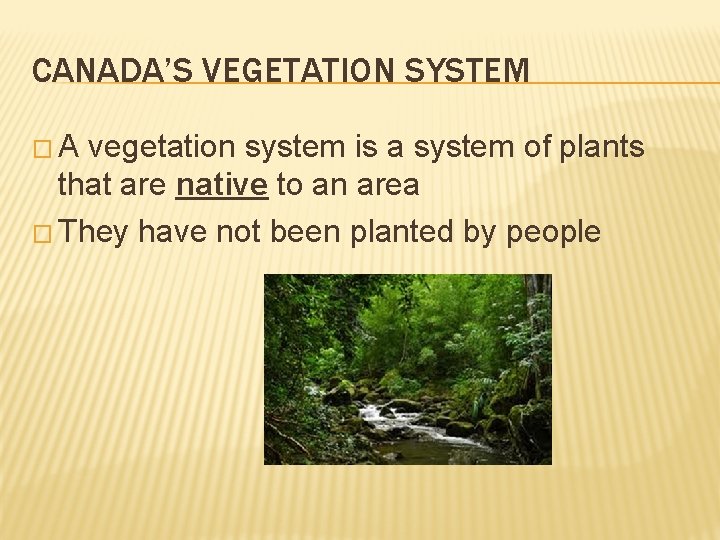 CANADA’S VEGETATION SYSTEM �A vegetation system is a system of plants that are native