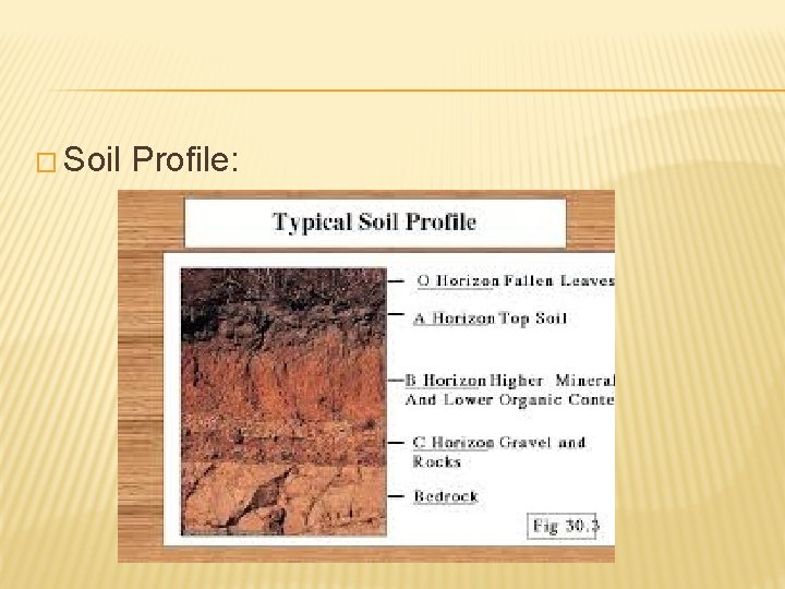� Soil Profile: 