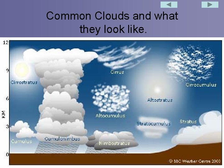 Common Clouds and what they look like. 