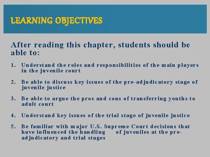 Chapter 13 Juvenile Court Process Pretrial And Sentencing