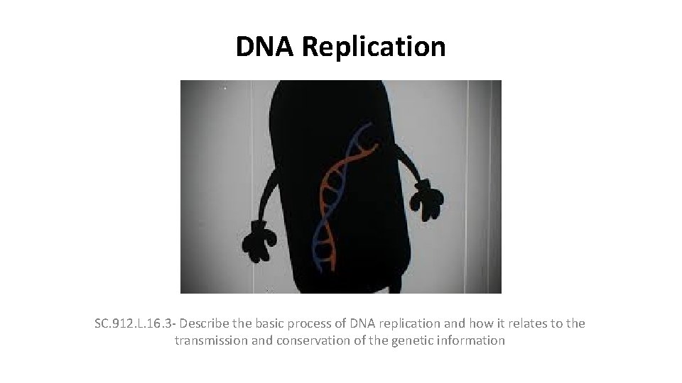 DNA Replication SC. 912. L. 16. 3 - Describe the basic process of DNA