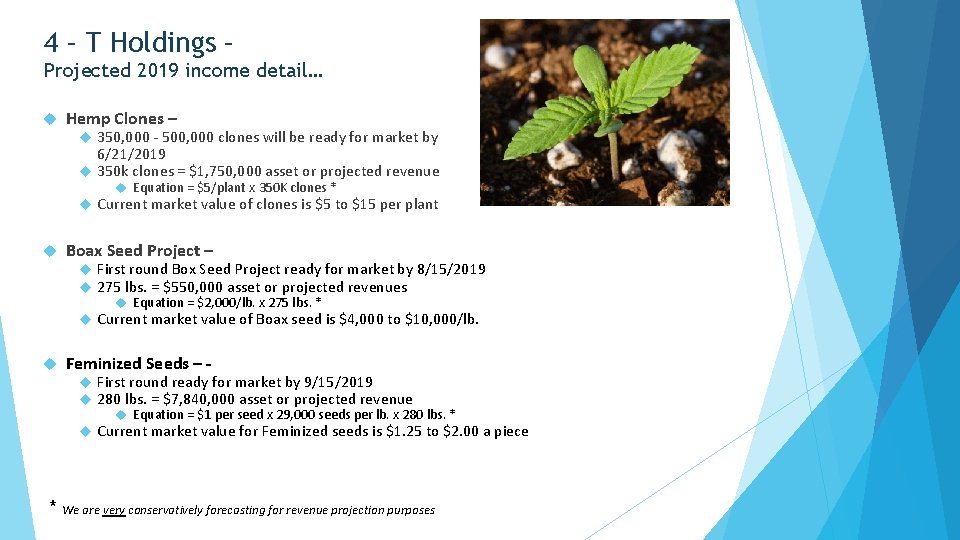 4 – T Holdings – Projected 2019 income detail… Hemp Clones – 350, 000