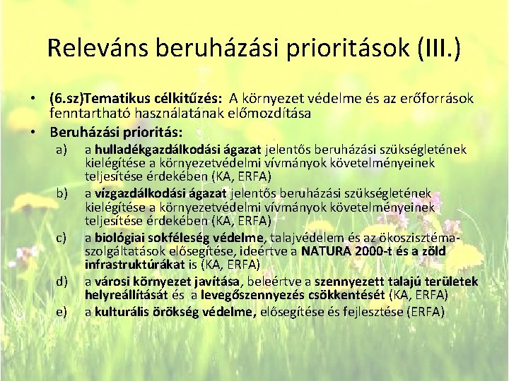 Releváns beruházási prioritások (III. ) • (6. sz)Tematikus célkitűzés: A környezet védelme és az