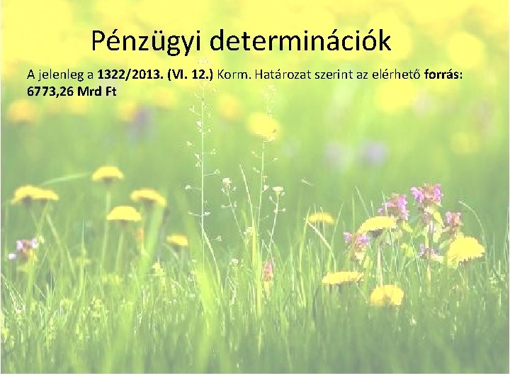 Pénzügyi determinációk A jelenleg a 1322/2013. (VI. 12. ) Korm. Határozat szerint az elérhető Pénzügyi determinációk A jelenleg a 1322/2013. (VI. 12. ) Korm. Határozat szerint az elérhető