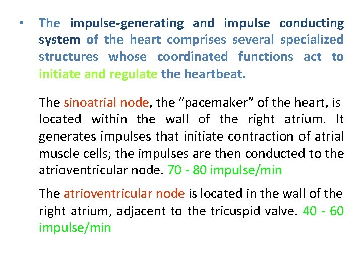  • The impulse-generating and impulse conducting system of the heart comprises several specialized