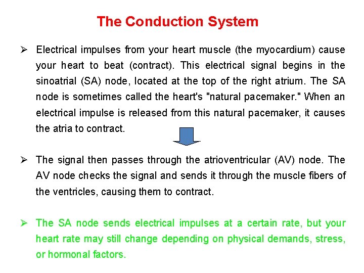The Conduction System Ø Electrical impulses from your heart muscle (the myocardium) cause your