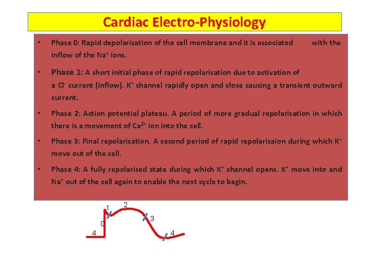 Cardiac Electro-Physiology • Phase 0: Rapid depolarisation of the cell membrane and it is