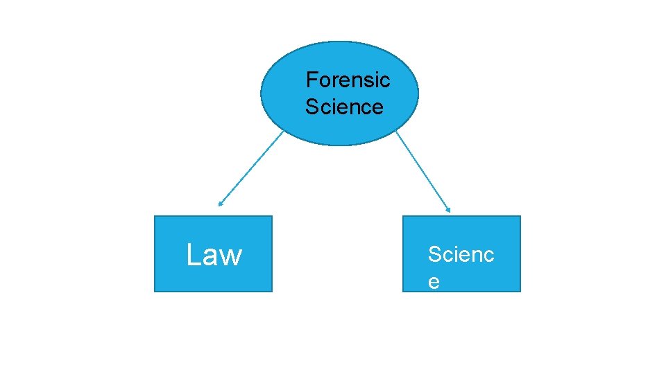 Forensic Science Law Scienc e 