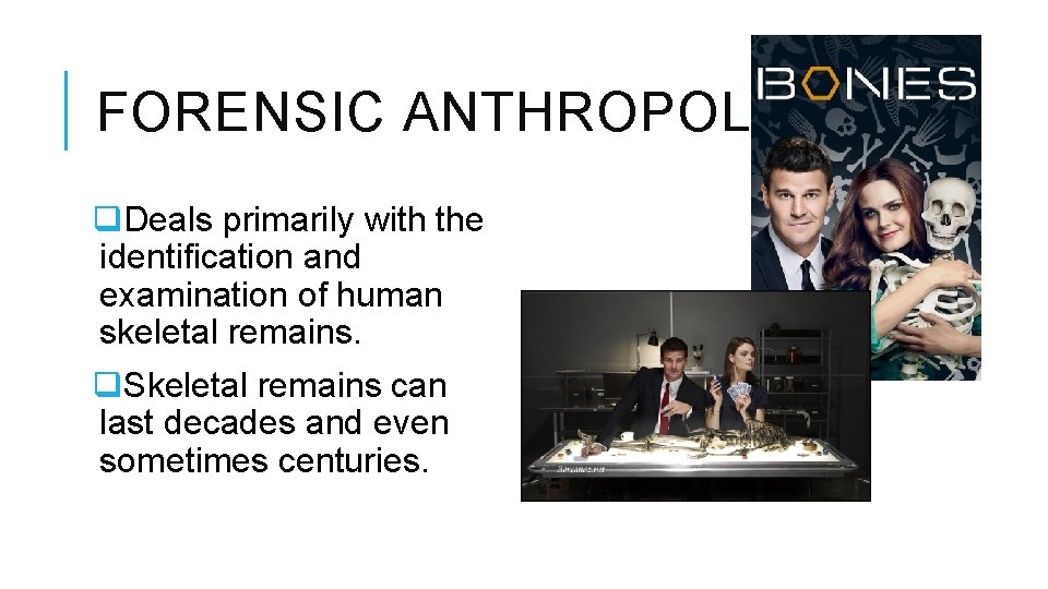 FORENSIC ANTHROPOLOGY q. Deals primarily with the identification and examination of human skeletal remains.