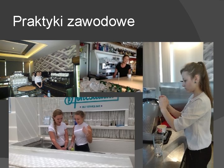 Praktyki zawodowe Praktyki zawodowe