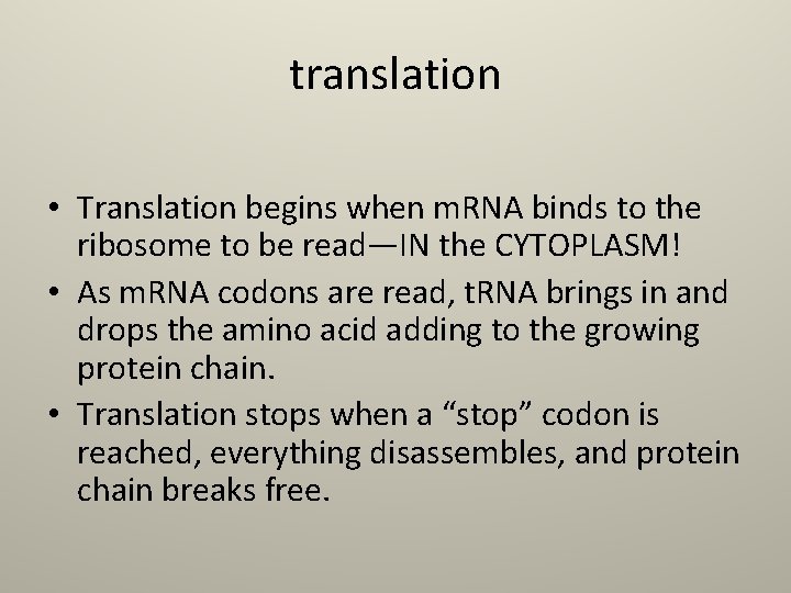 translation • Translation begins when m. RNA binds to the ribosome to be read—IN