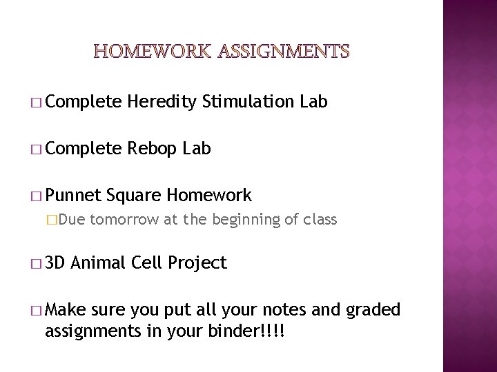 � Complete Heredity Stimulation Lab � Complete Rebop Lab � Punnet �Due � 3