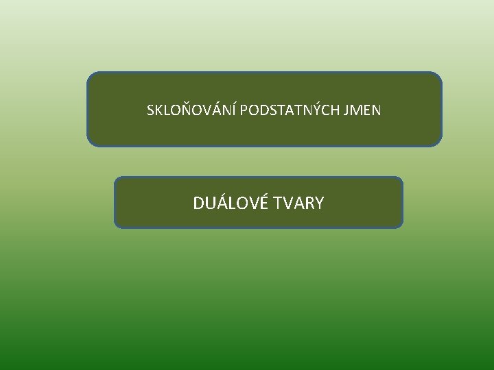 SKLOŇOVÁNÍ PODSTATNÝCH JMEN DUÁLOVÉ TVARY 