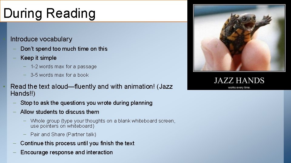 During Reading • Introduce vocabulary – Don’t spend too much time on this –