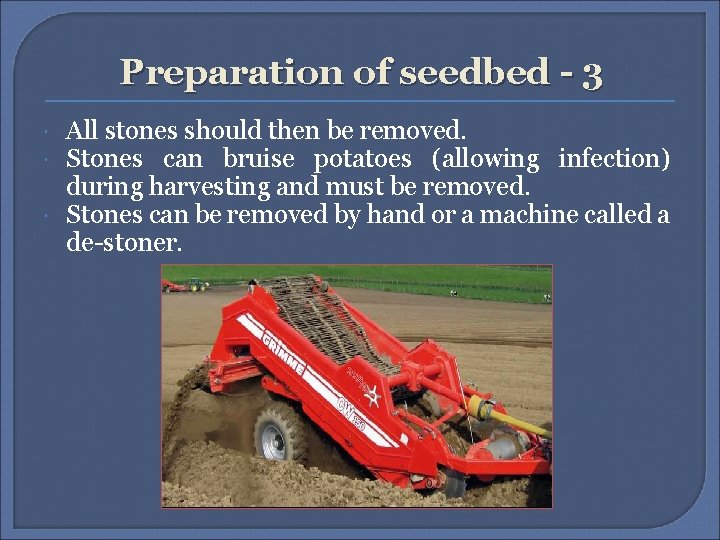 Preparation of seedbed - 3 All stones should then be removed. Stones can bruise Preparation of seedbed - 3 All stones should then be removed. Stones can bruise