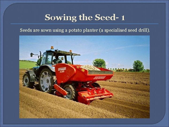 Sowing the Seed- 1 Seeds are sown using a potato planter (a specialised seed Sowing the Seed- 1 Seeds are sown using a potato planter (a specialised seed