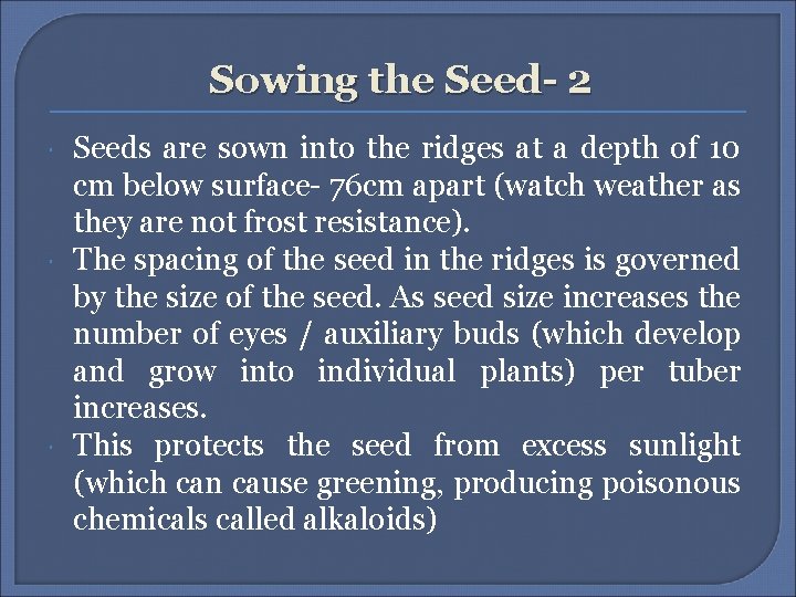 Sowing the Seed- 2 Seeds are sown into the ridges at a depth of Sowing the Seed- 2 Seeds are sown into the ridges at a depth of