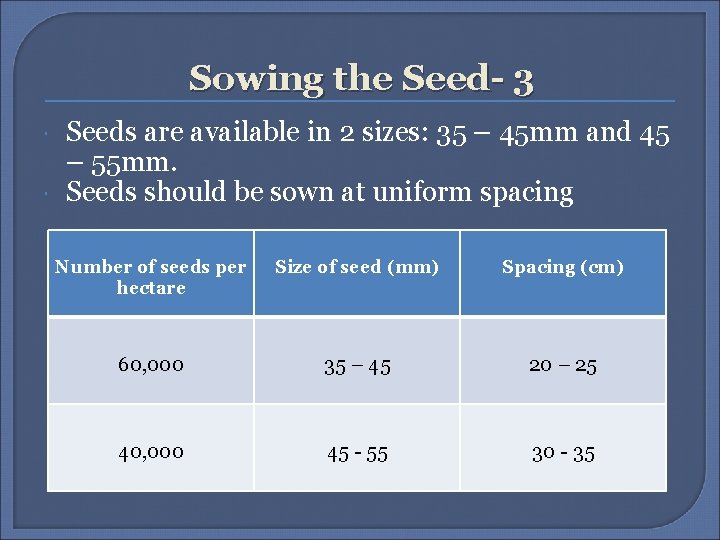 Sowing the Seed- 3 Seeds are available in 2 sizes: 35 – 45 mm Sowing the Seed- 3 Seeds are available in 2 sizes: 35 – 45 mm