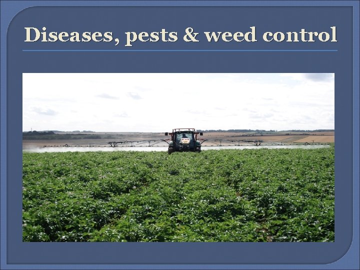 Diseases, pests & weed control Diseases, pests & weed control