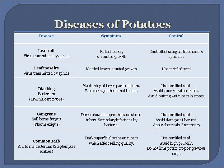 Diseases of Potatoes Disease Symptoms Control Leaf roll Virus transmitted by aphids Rolled leaves, Diseases of Potatoes Disease Symptoms Control Leaf roll Virus transmitted by aphids Rolled leaves,