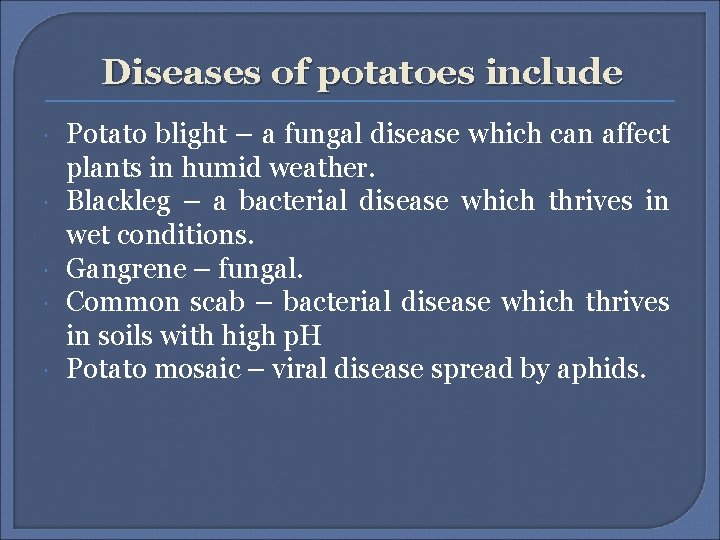Diseases of potatoes include Potato blight – a fungal disease which can affect plants Diseases of potatoes include Potato blight – a fungal disease which can affect plants