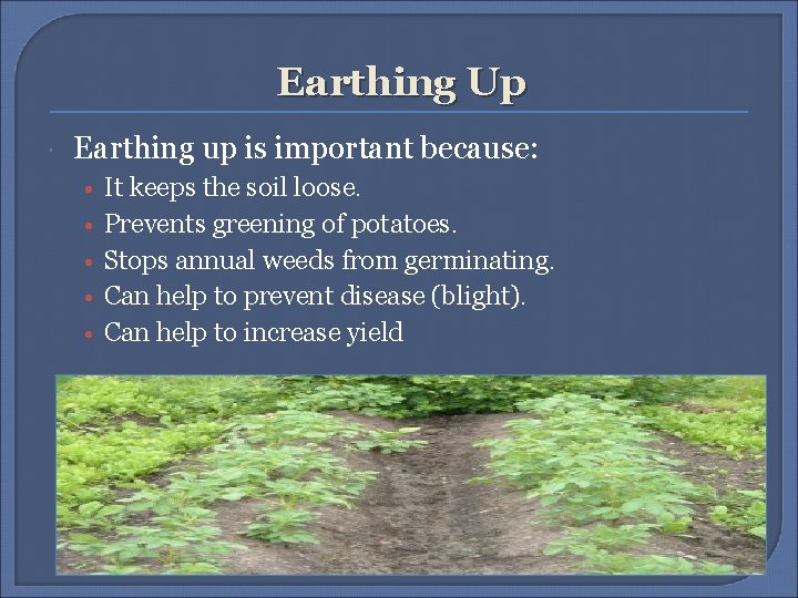 Earthing Up Earthing up is important because: • • • It keeps the soil Earthing Up Earthing up is important because: • • • It keeps the soil