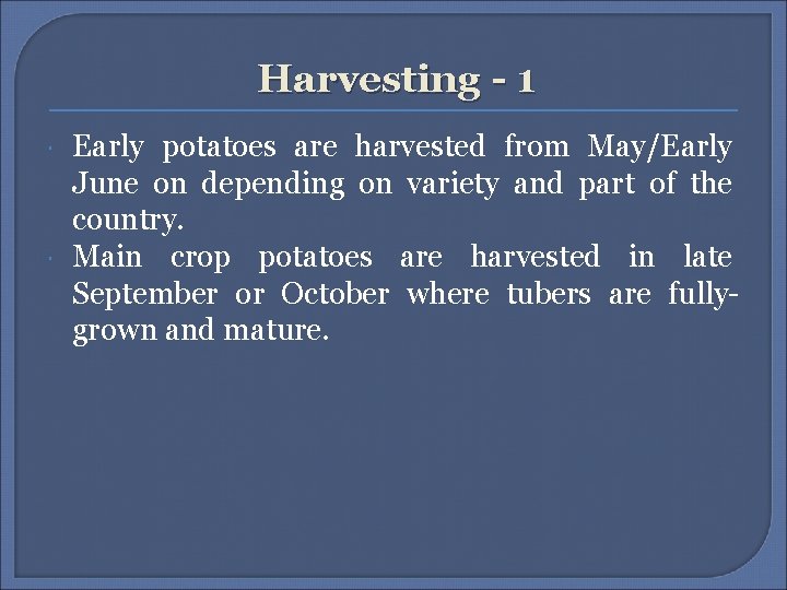 Harvesting - 1 Early potatoes are harvested from May/Early June on depending on variety Harvesting - 1 Early potatoes are harvested from May/Early June on depending on variety